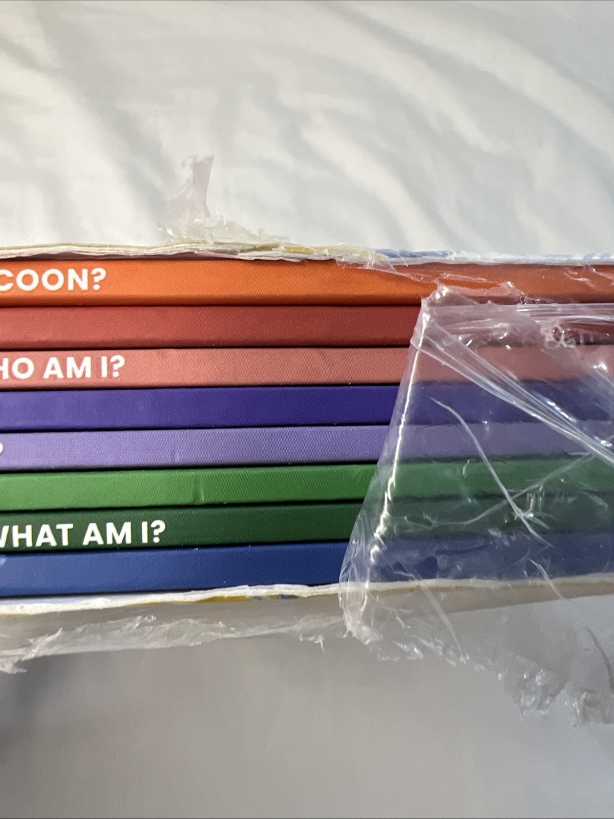 Set of 8 Heggerty Decodable Books: Frog Series Grade 1