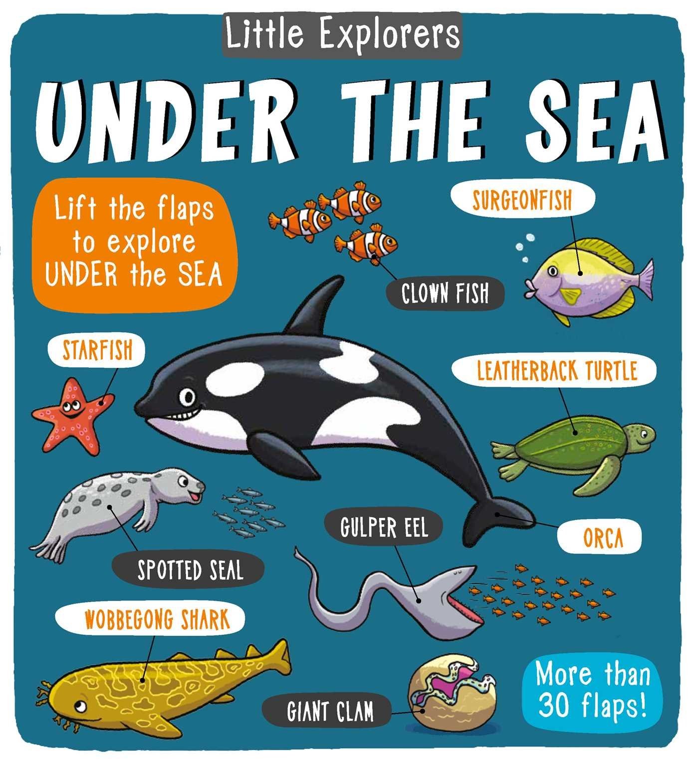 Little Explorers: Under the Sea – hardcover Little Bee Books