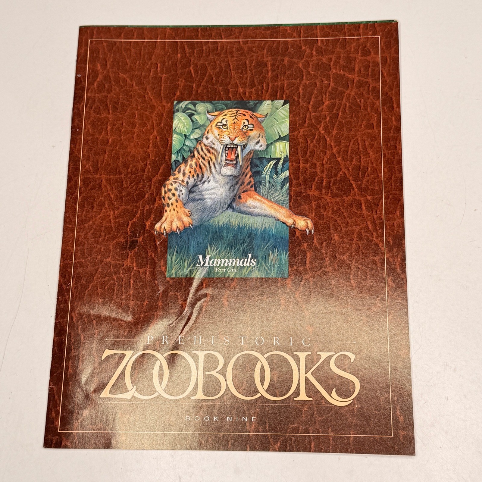 Prehistoric ZOOBOOKS 1989 First Edition Family Guide Case Book Set 1-10 Poster