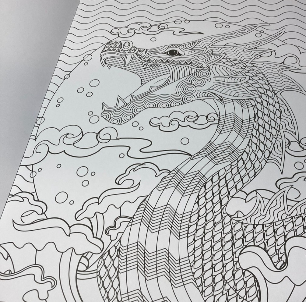 ENCHANTED Coloring Book Poster Art 20 pages