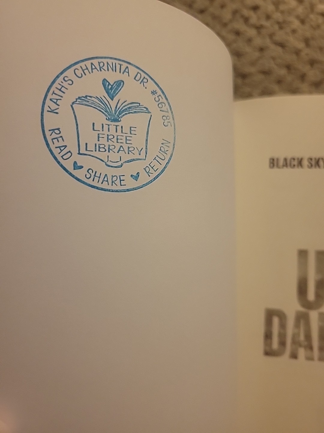 Utter Darkness: A Post Apocalyptic CME/EMP Survival Thriller (Black Sky Event, B
