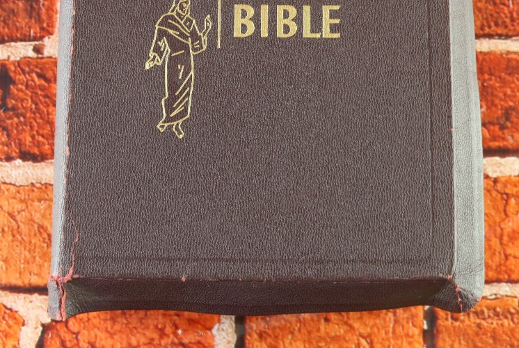 Holy Bible 1950 Catholic Press Rev. John P. O’Connell