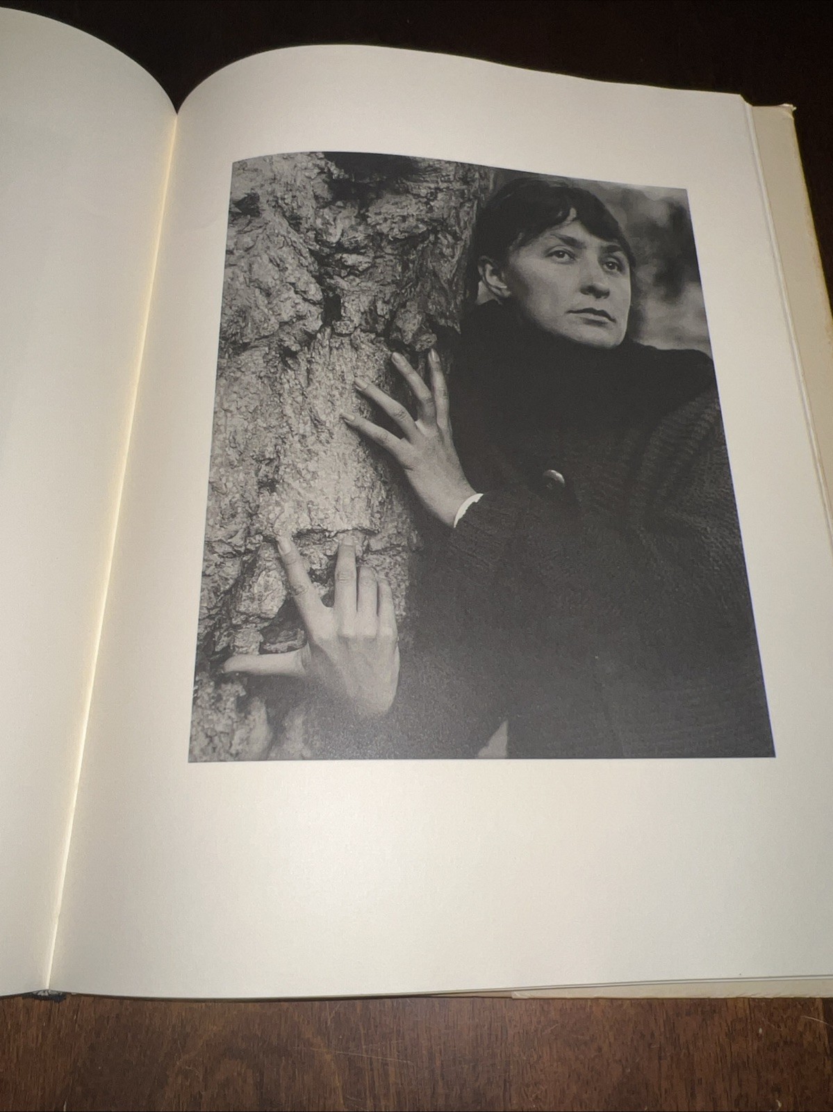 Georgia O’Keeffe : A Portrait by Alfred Stieglitz 1st EDITION – Read Description