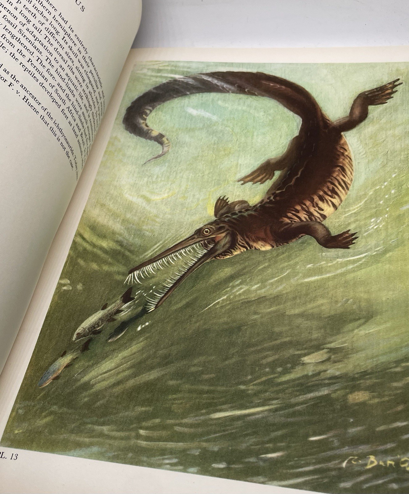 Prehistoric Animals J. Augusta-Z. Burian Vintage Dinosaur Book HC
