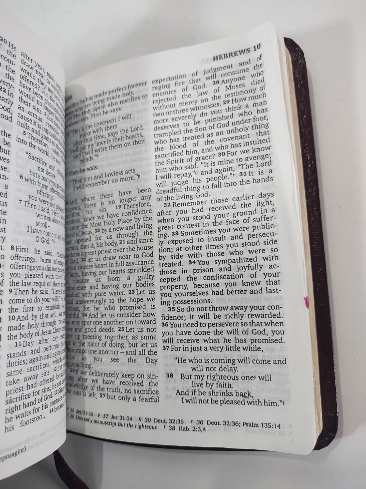 NIV New Testament Psalms Proverbs Bonded Leather Burgundy English Pocket Bible