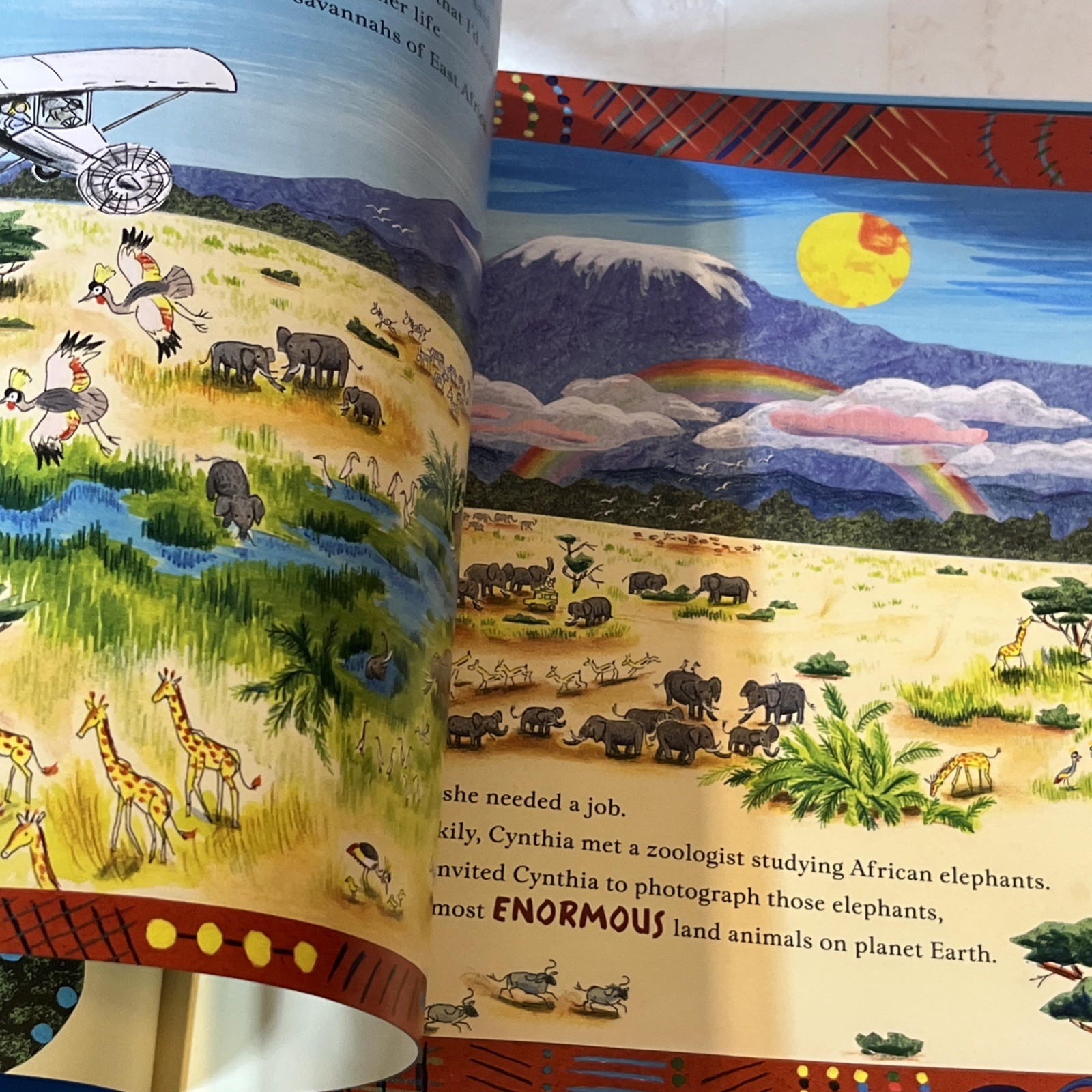A Passion for Elephants by Toni Buzzeo Children’s Book Hardcover 2015