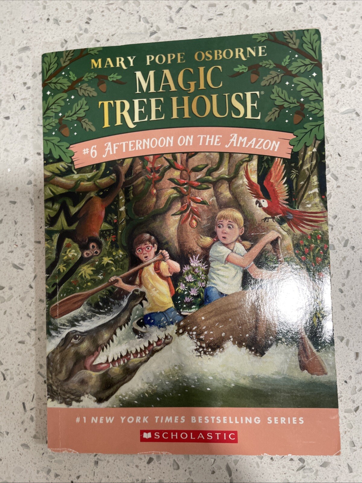 Afternoon on the Amazon: Magic Tree House Series #6 by Mary Pope Osborne (2017)