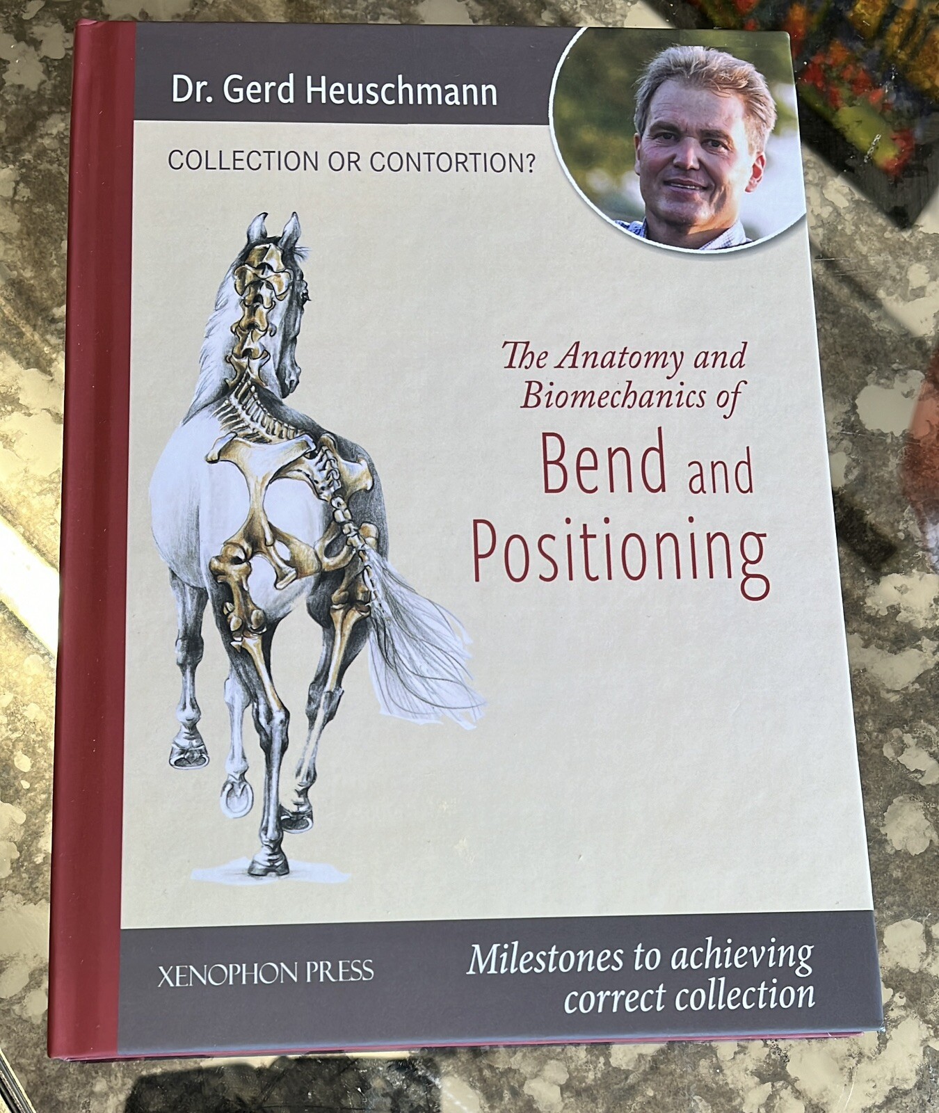 Collection Or Contortion: Anatomy and Biomechanics of Positioning and Bending