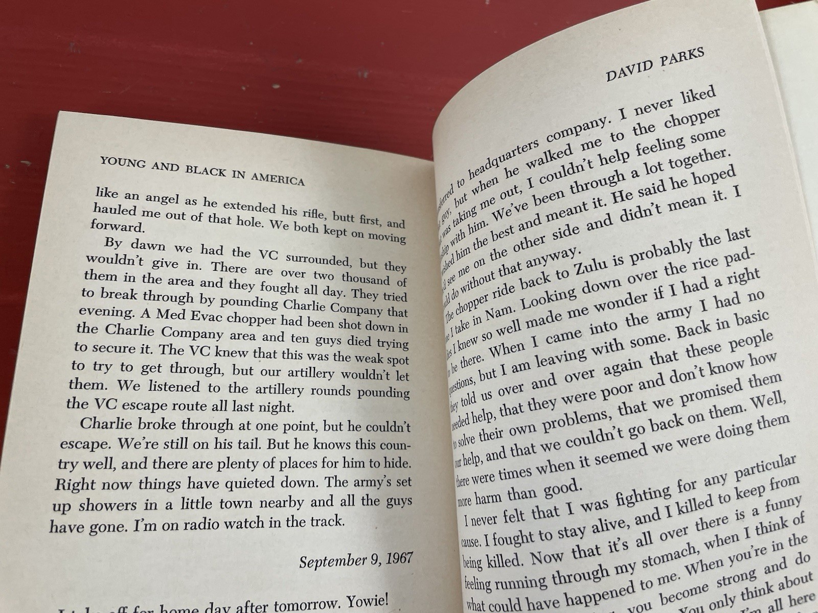 Young and Black in America by Rae Pace Alexander 1973 Malcolm X, Richard Wright