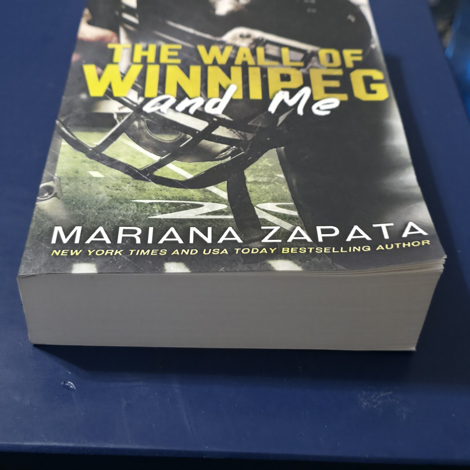 The Wall of Winnipeg and Me by Mariana Zapata