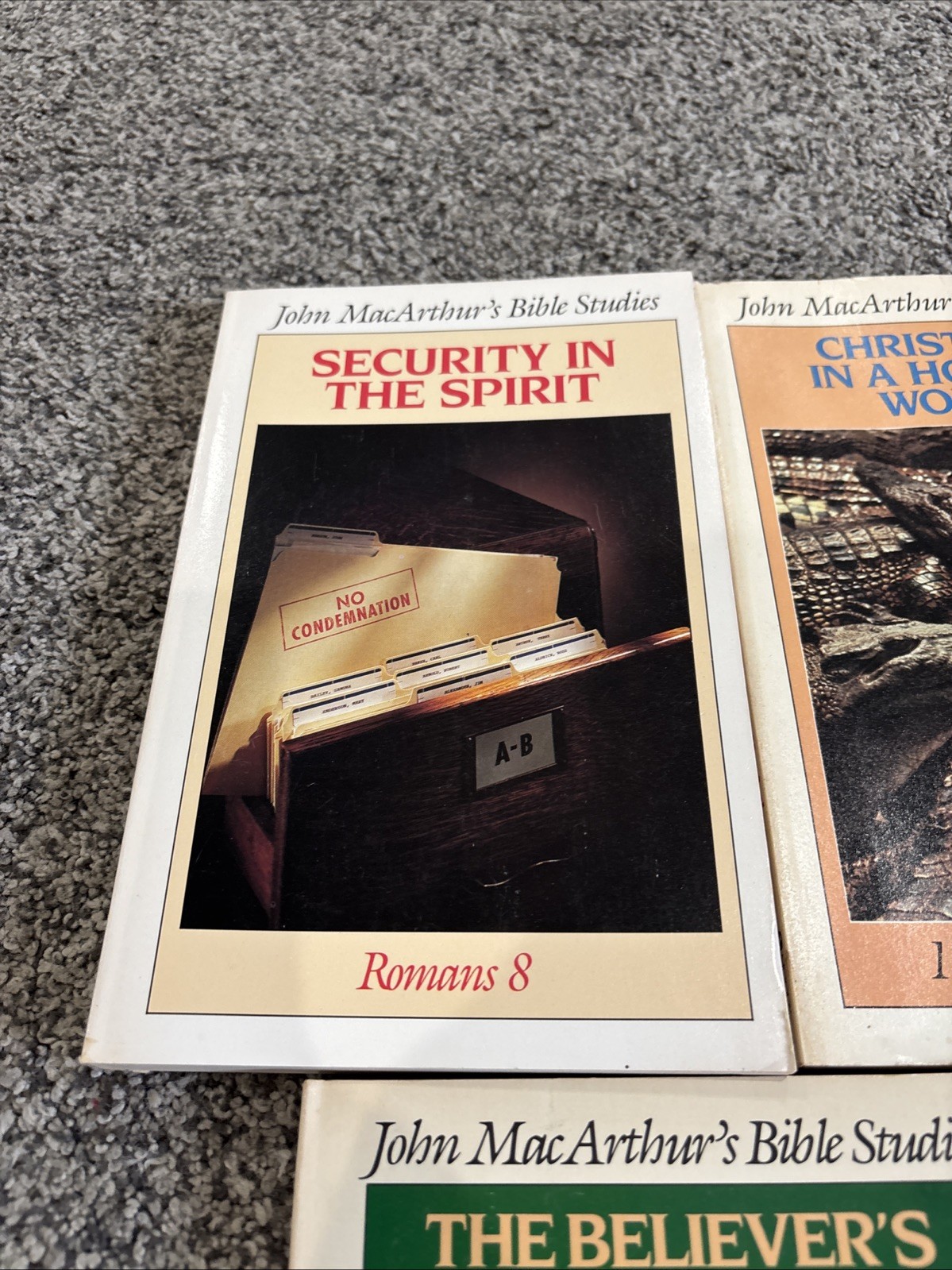 Dr John MacArthur Bible Studies Book Series Set