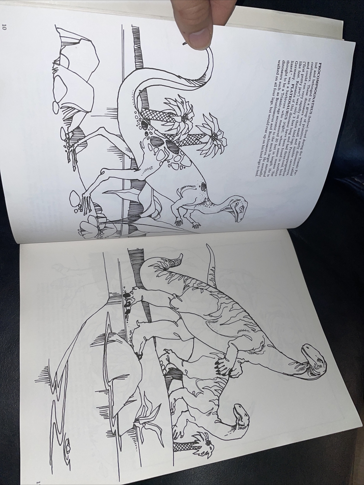 Dinosaur Coloring Book (Dover Nature Coloring Book) by Anthony Rao 90% Uncolored