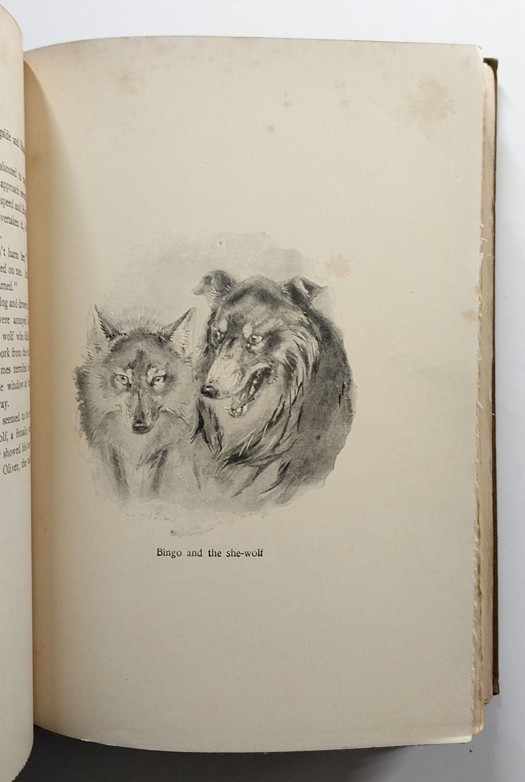 Wild Animals I Have Known by Ernest Thompson Seton HC 20th Impression 1906