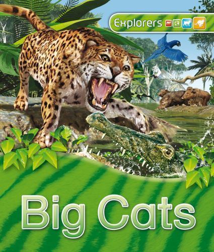 Explorers: Big Cats – hardcover Llewellyn, Claire|Bull, Peter