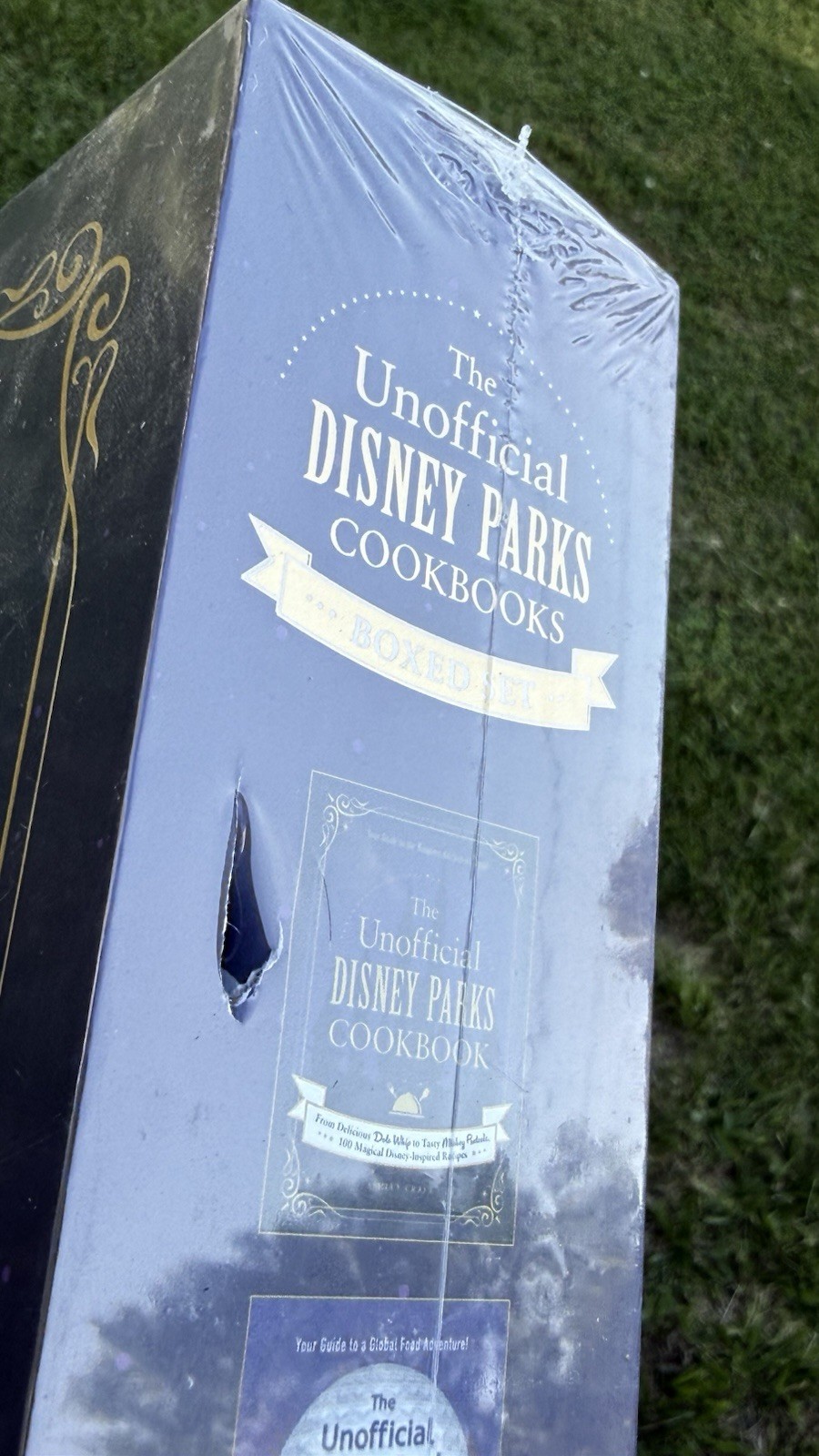 The Unofficial Disney Parks Cookbooks Boxed Set: The Unofficial Disney Parks