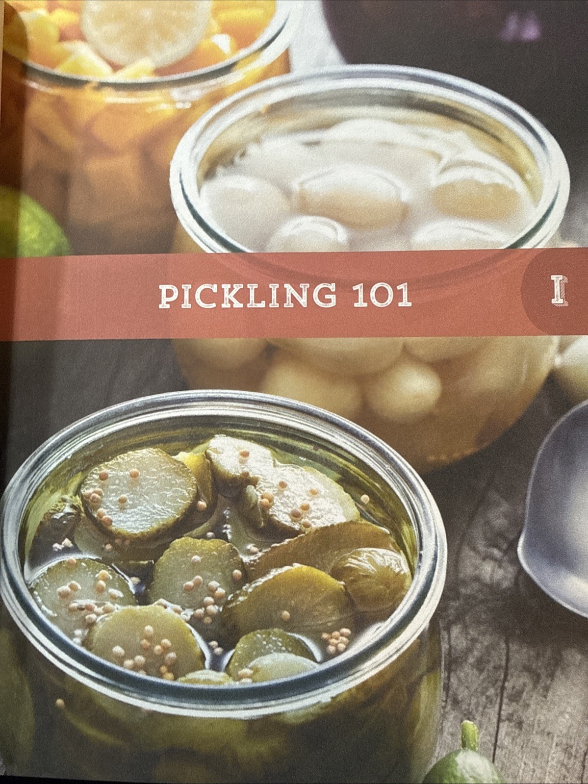 DIY Pickling Cookbook Rockridge Press 2015 PB Fermented Fresh Quick Recipes