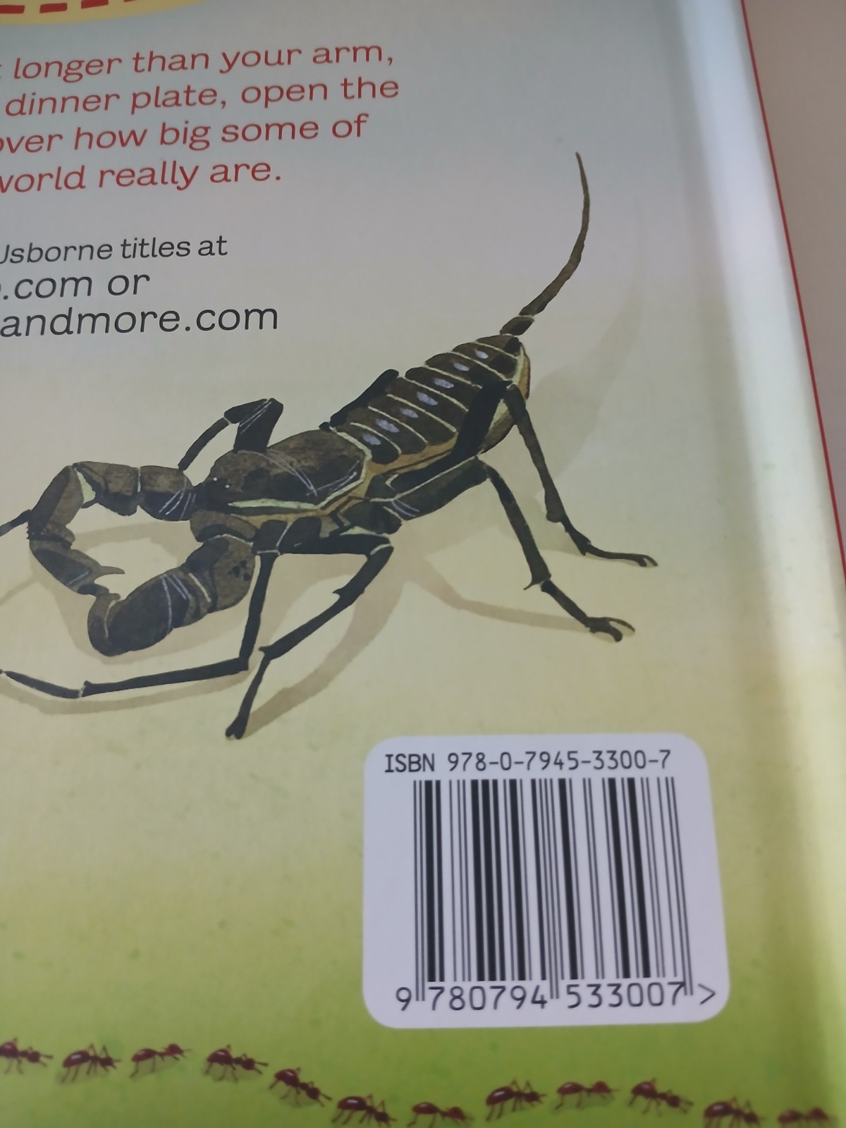 Usborne Big Book Of Dinosaurs & Bugs STEM Learning Fold-Out Pages Home School