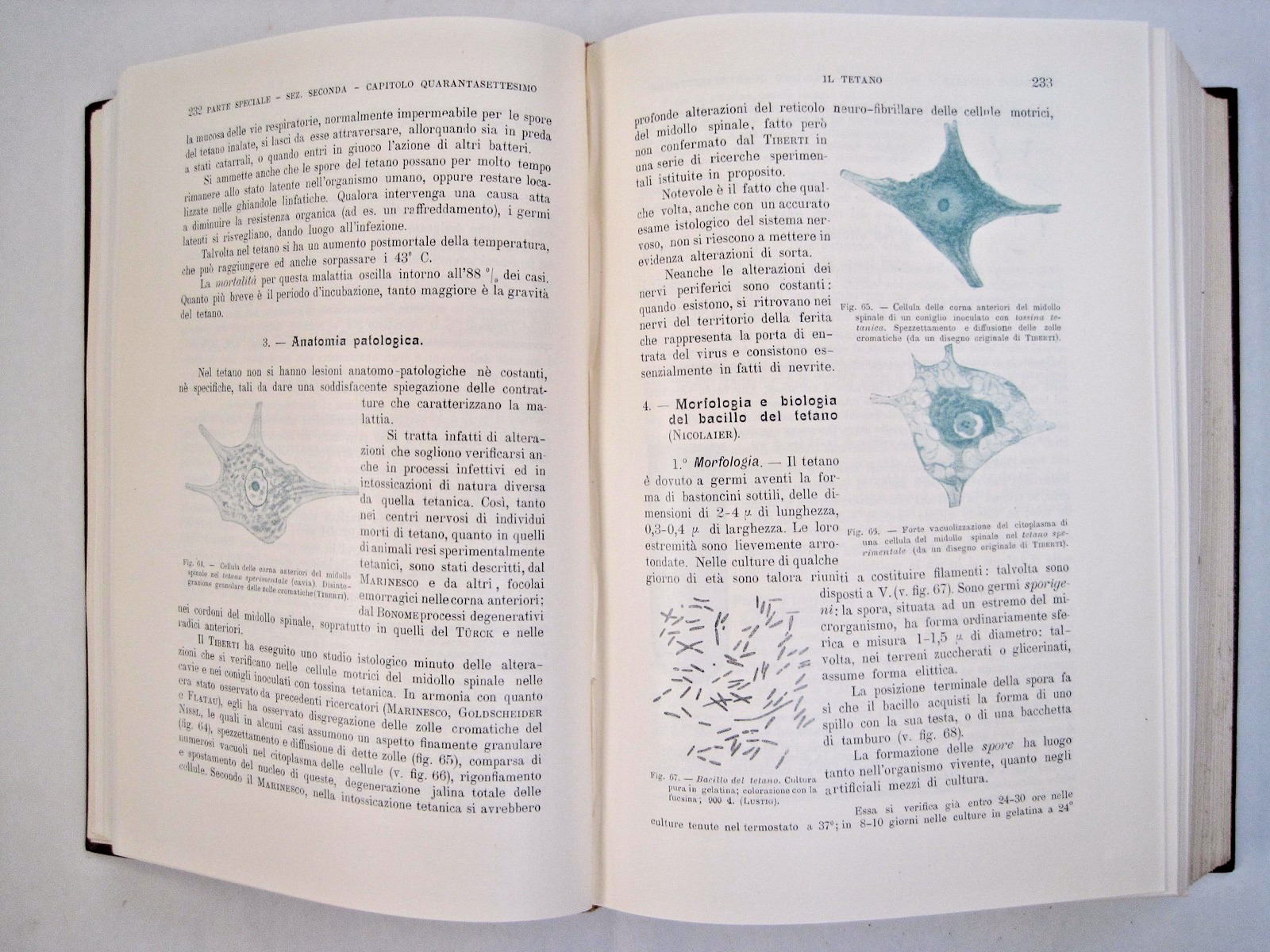 Malattie Infettive Dell’uomo E Degli Animali by Alessandro Lustig (Vol. I-II)
