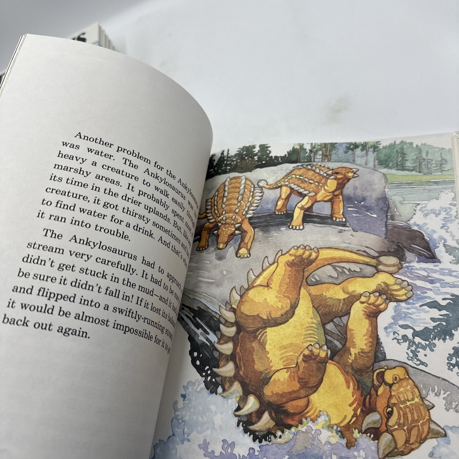 Dinosaur Hardcover Books 1991 Janet Riehecky The Child’s World Series 18 Books