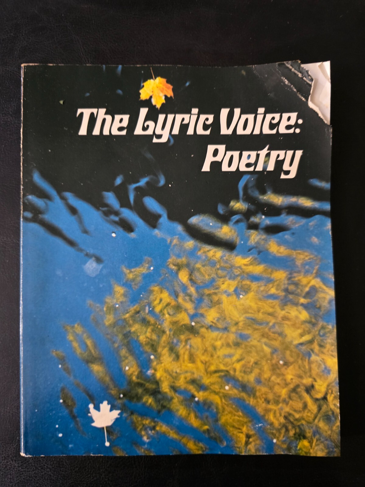 The Lyric Voice Poetry by Albert Kitzhaber Stoddard Malarkey Barbara Drake – PB