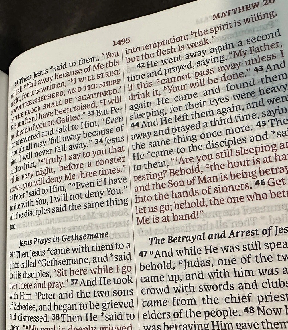 Lsb Legacy Standard Bible Portable Paragraph Reference Red Leather