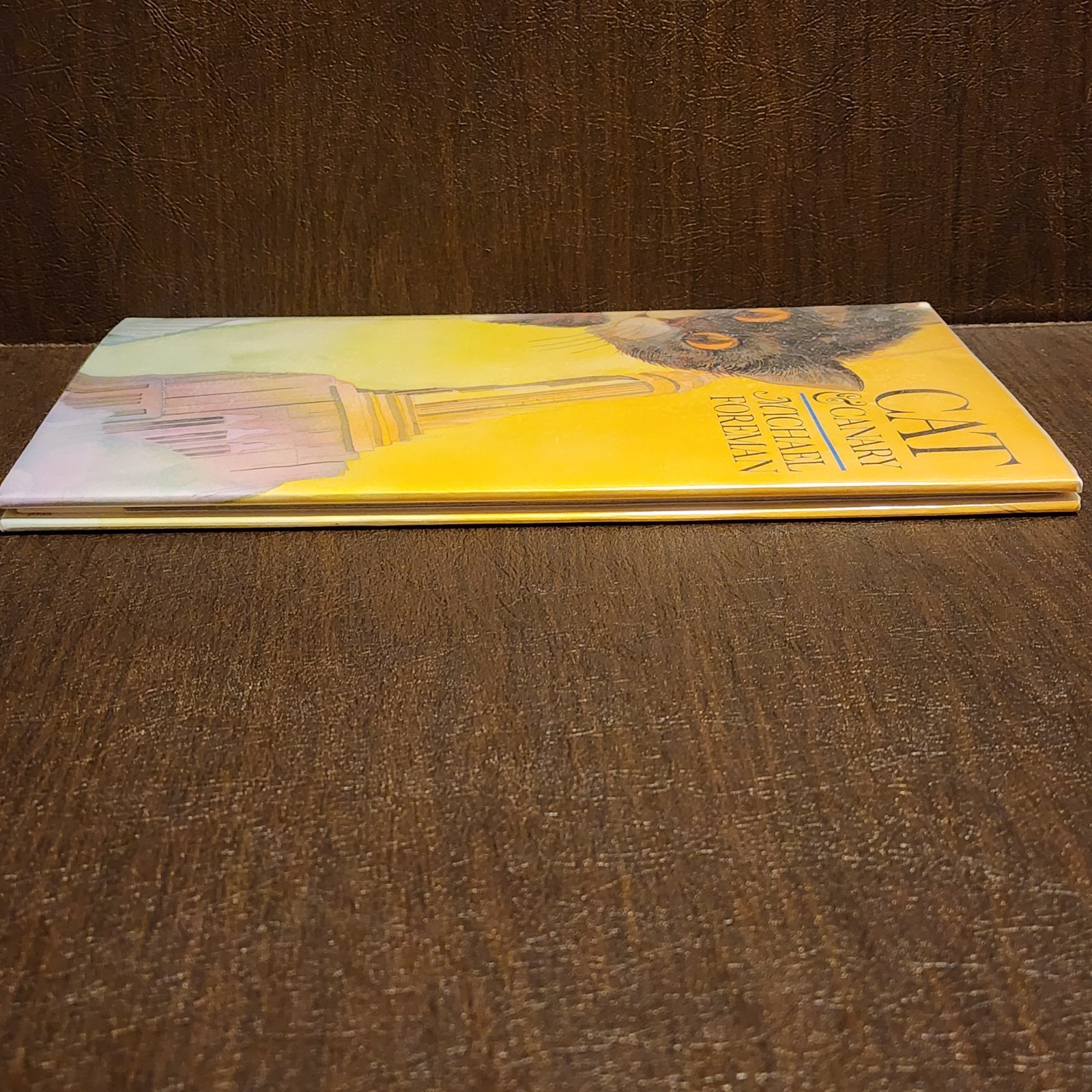 1st Edition Print – Cat and Canary Hardcover Michael Foreman Hardcover DJ GREAT
