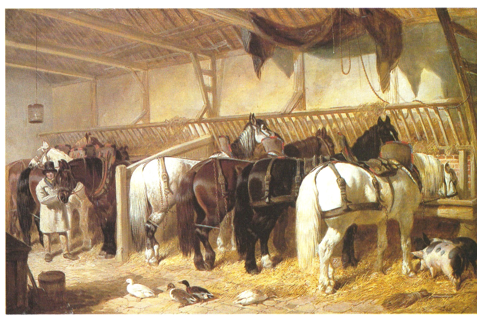 HORSE PAINTINGS: A Book of 30 Postcards By Pavilion Books, Famous Artists