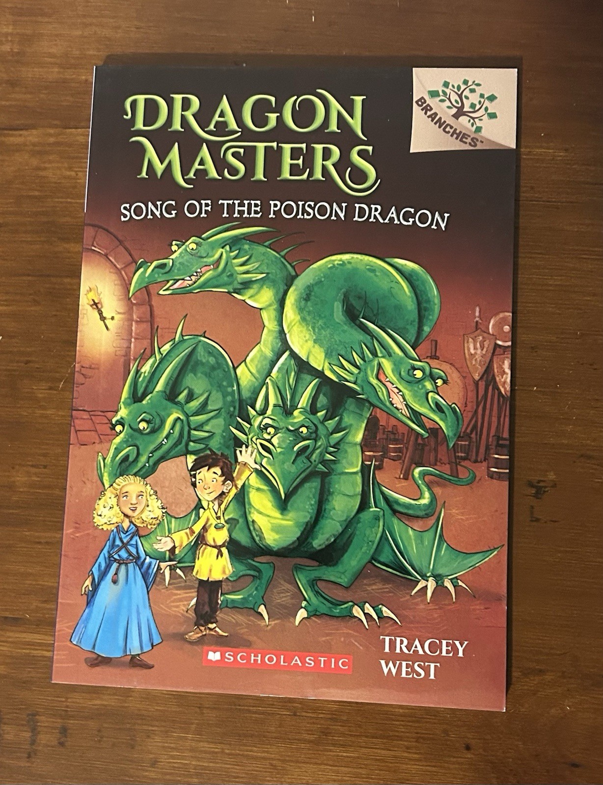 Dragon Masters Books 3,4,5,7 Branches Early Chapter Books Tracey West