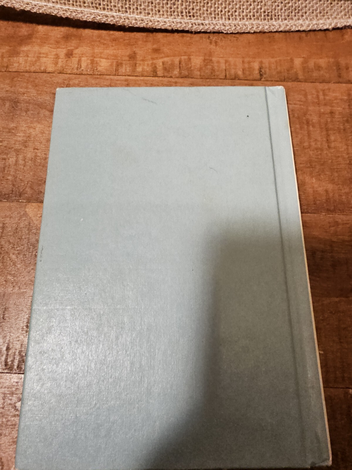 Red Tag Comes Back by Fred Phleger pictures Arnold Lobel vintage 1961 hardcover