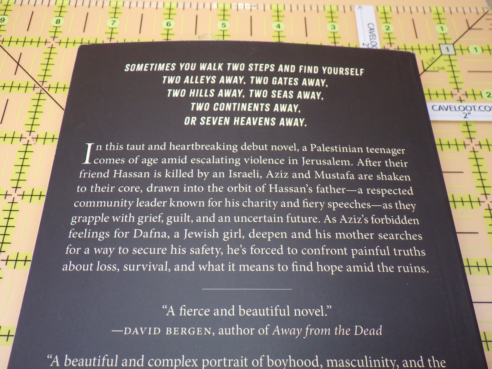 Seven Heavens Away by Ashraf Zaghal – Modern Palestinian Fiction Novel (2024)
