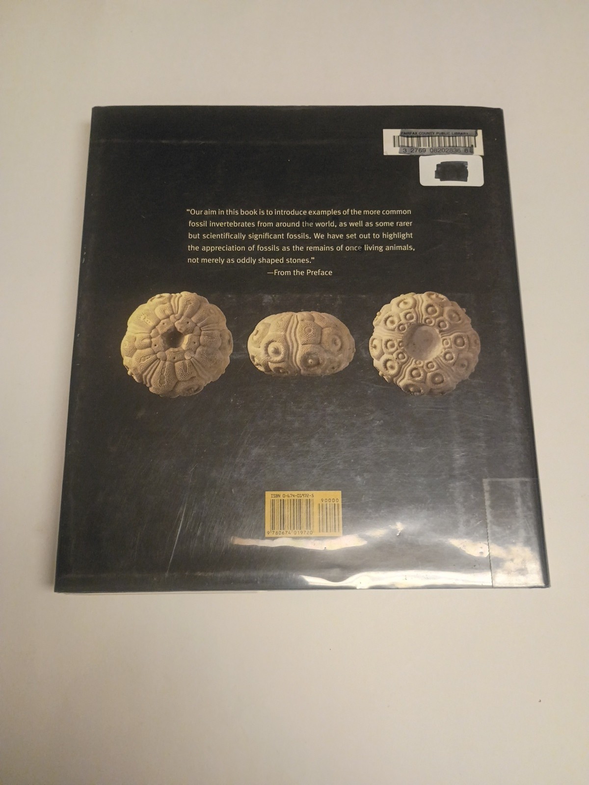 Fossil Invertebrates HC DJ Taylor, Paul D. and Lewis, David N. Harvard Universit