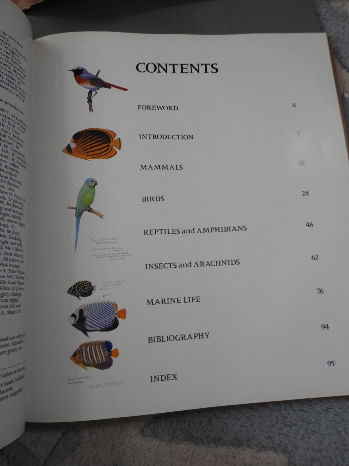 vintage WILDLIFE OF SAUDI ARABIA Arabian peninsula HBDJ book