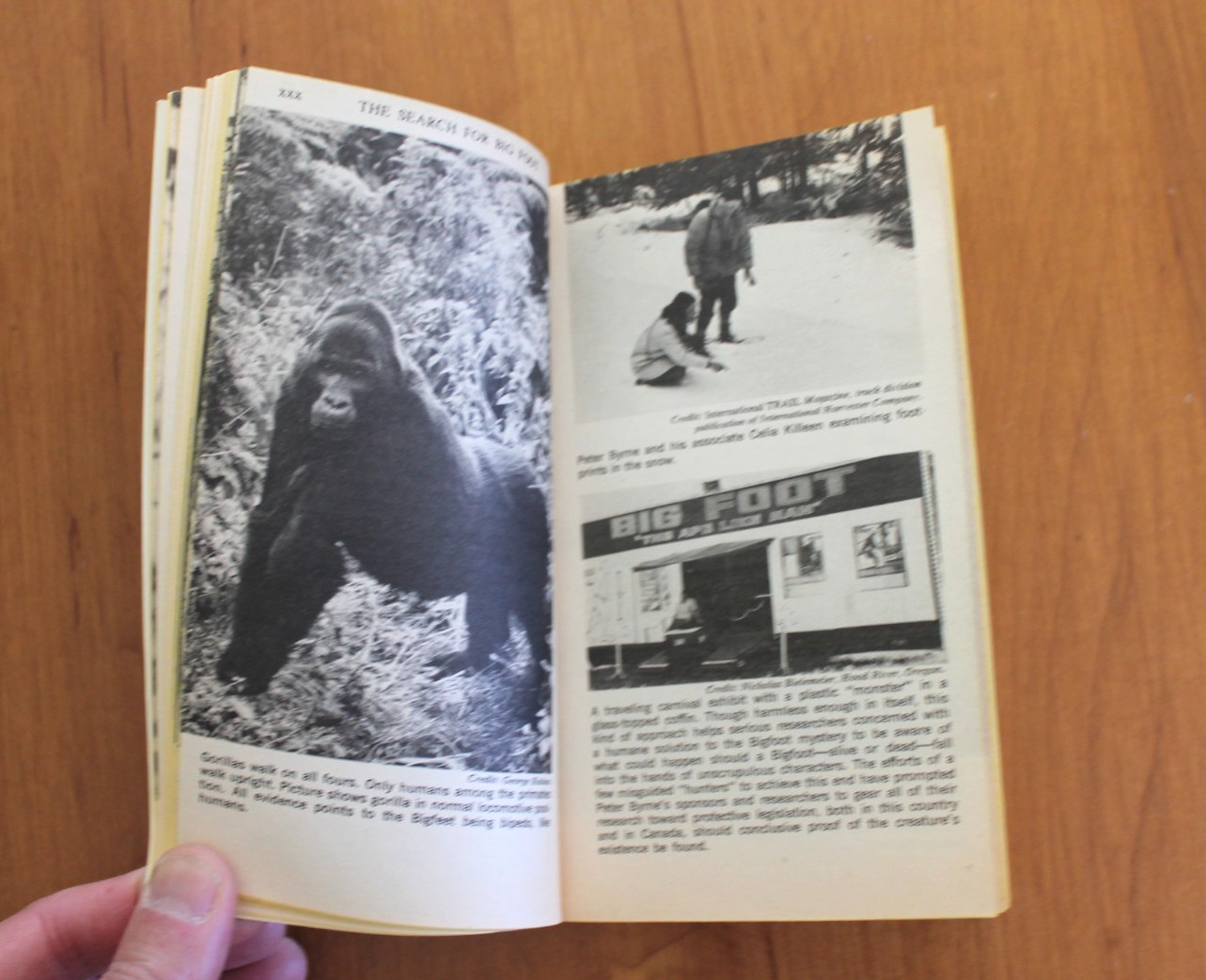 The Search for Bigfoot (Monster, Myth or Man?), Peter Byrne
