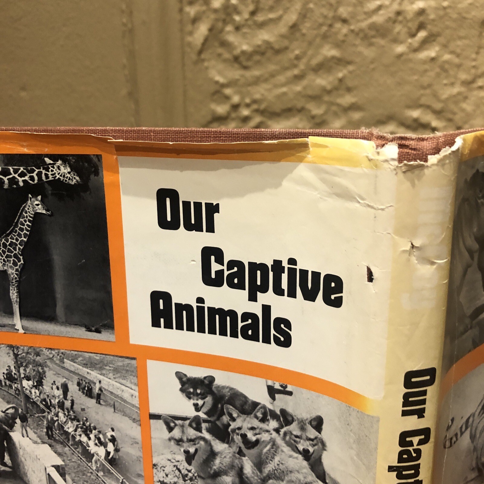 ‘OUR CAPTIVE ANIMALS’- J.J. McCOY-1971-RARE 1ST EDITION HC/DJ- EXOTIC & DOMESTIC