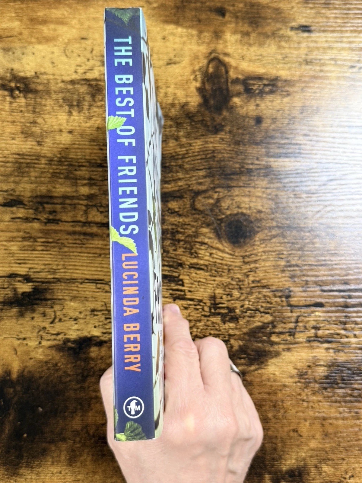 The Best of Friends by Lucinda Berry Paperback 2020 Psychological Thriller⁠