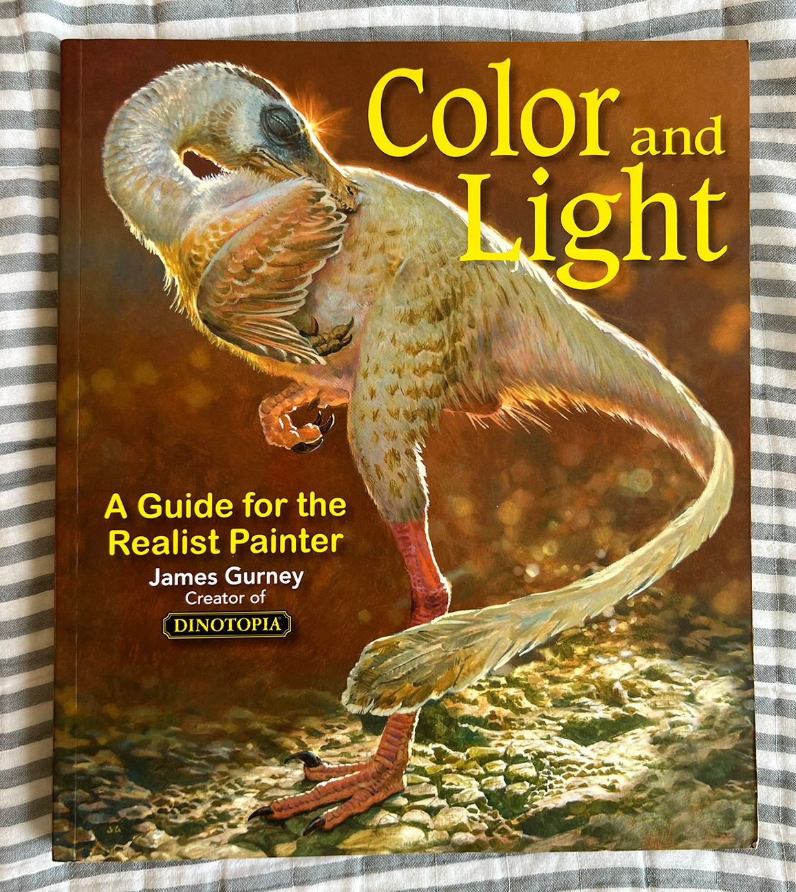 Color and Light: A Guide for the Realist Painter Softcover JAMES GURNEY Preowned