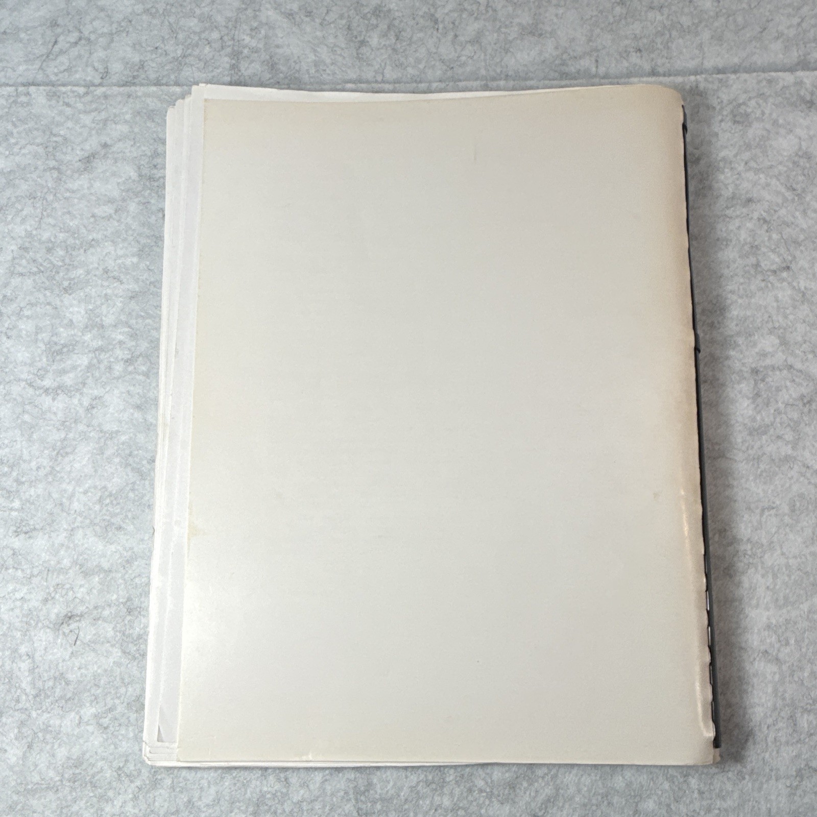 Aliens & Fallen Angels Stephen Quayle PB Spiral Bound Sexual Corruption Human