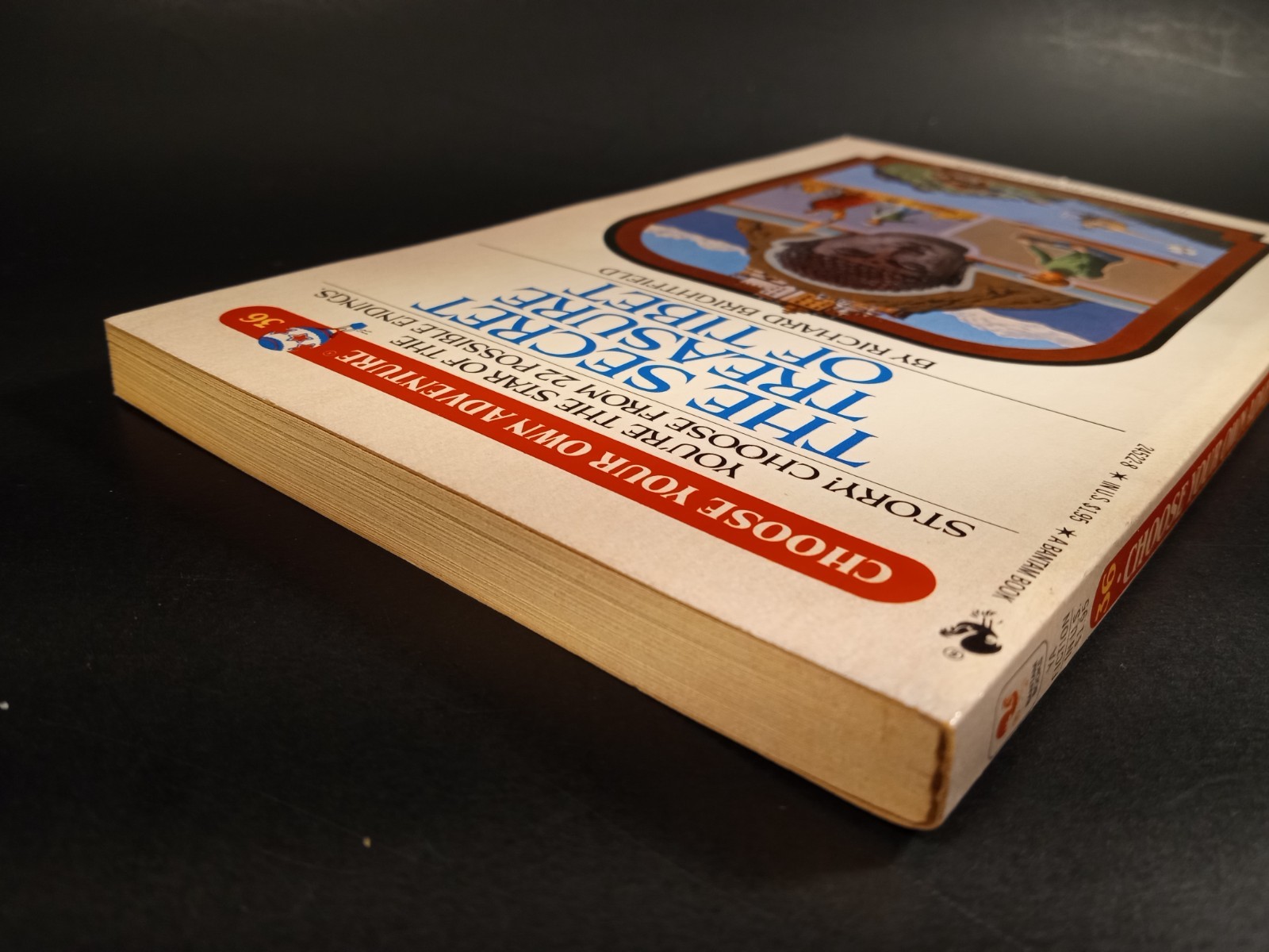 The Secret Treasure Of Tibet Choose Your Own Adventure #36 1st Print 1984 CYOA