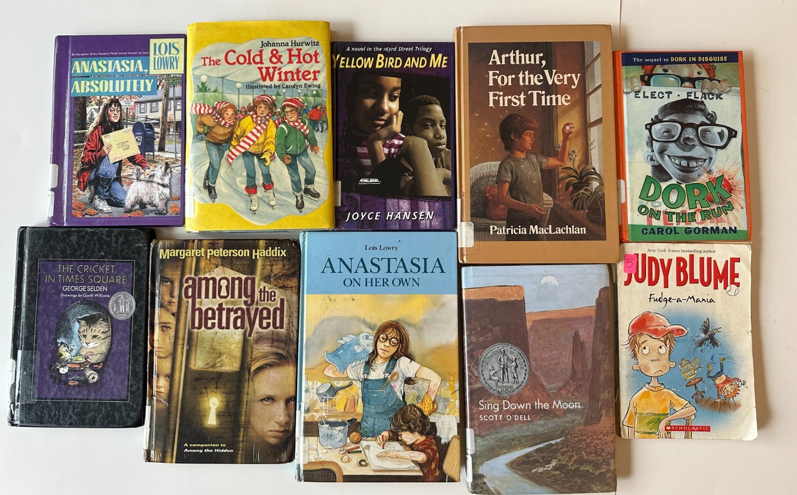 Lot of 10 Random 4th Grade Children’s Chapter Book Series – Elementary Library