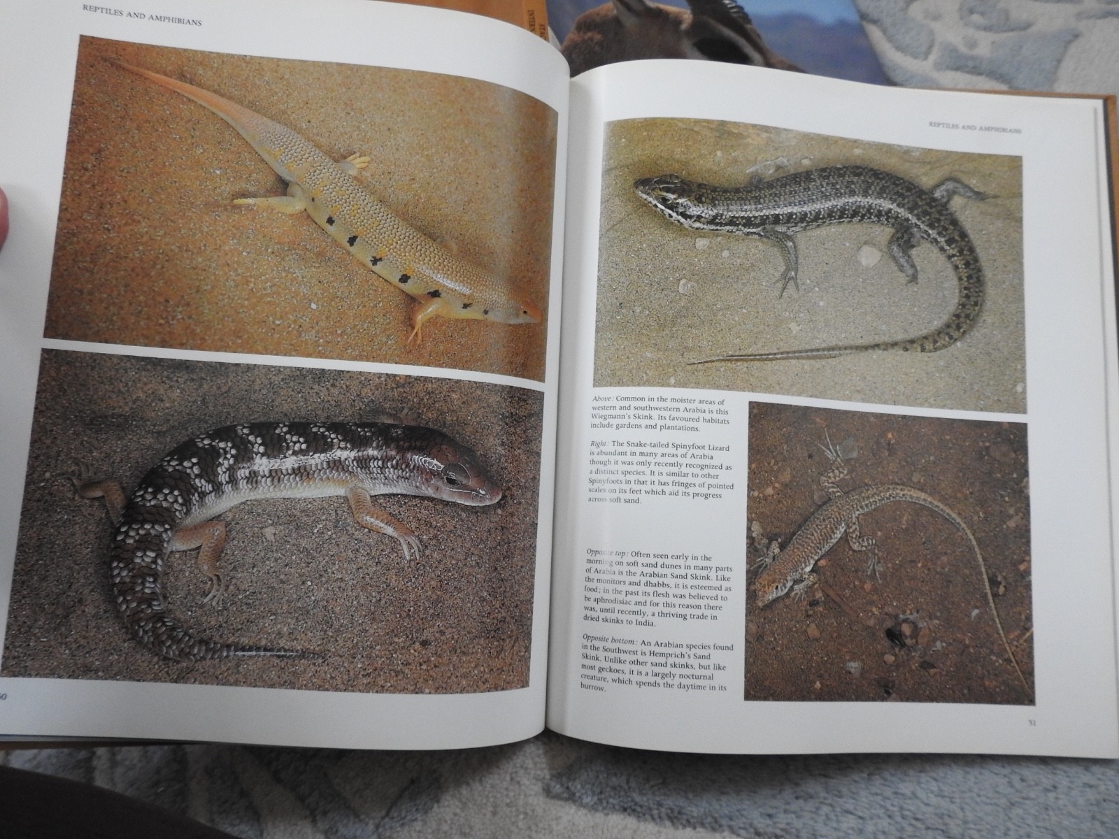 vintage WILDLIFE OF SAUDI ARABIA Arabian peninsula HBDJ book