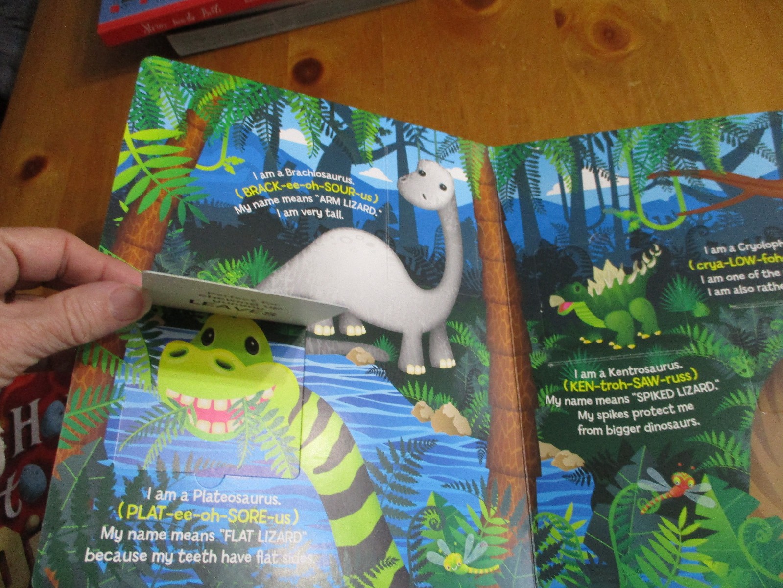 2-Kids Books Learn About Dinosaurs Lift The Flap & How To Catch a Dinosaur