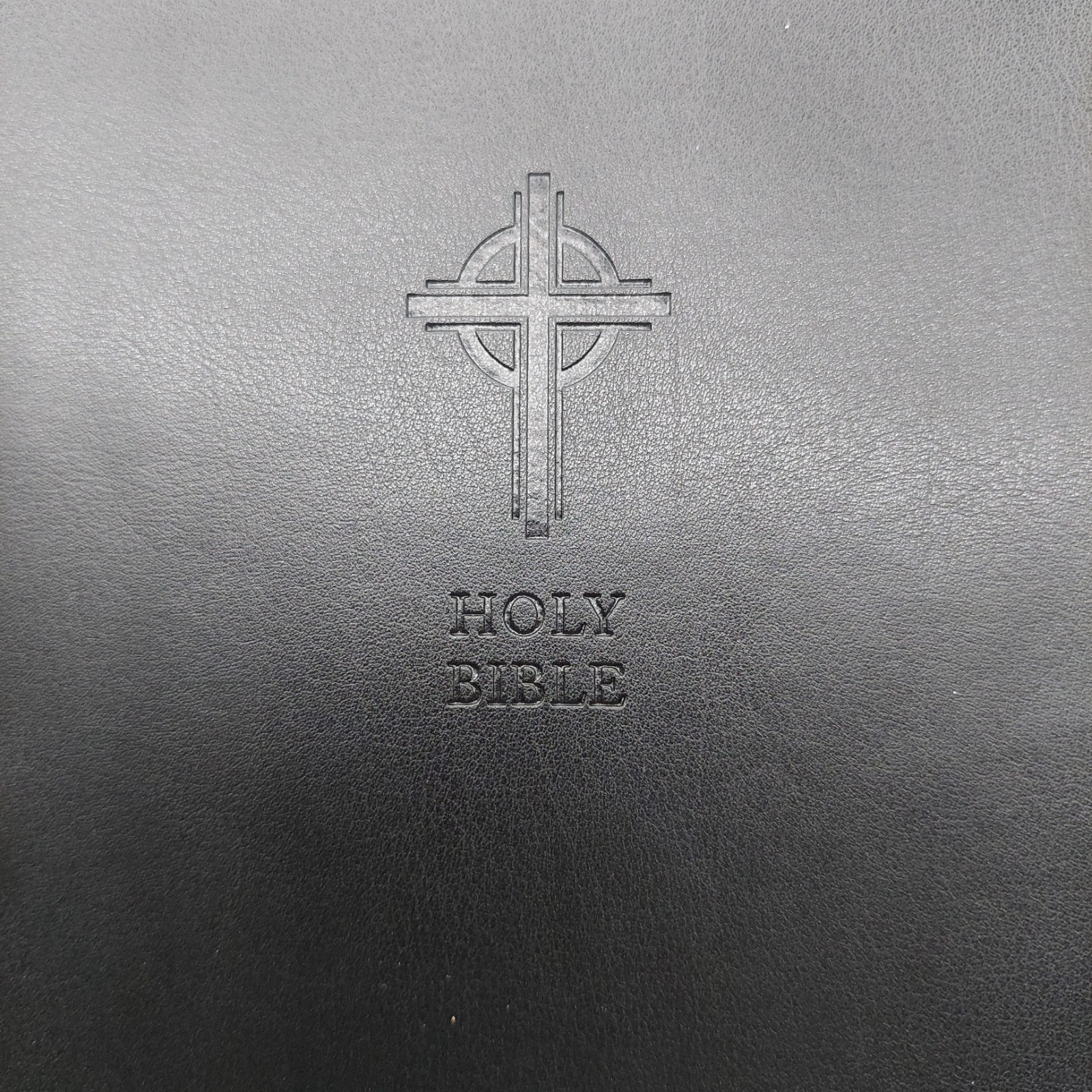 Holy Bible New American Revised Edition Large Print By Catholic Bible Press 2011