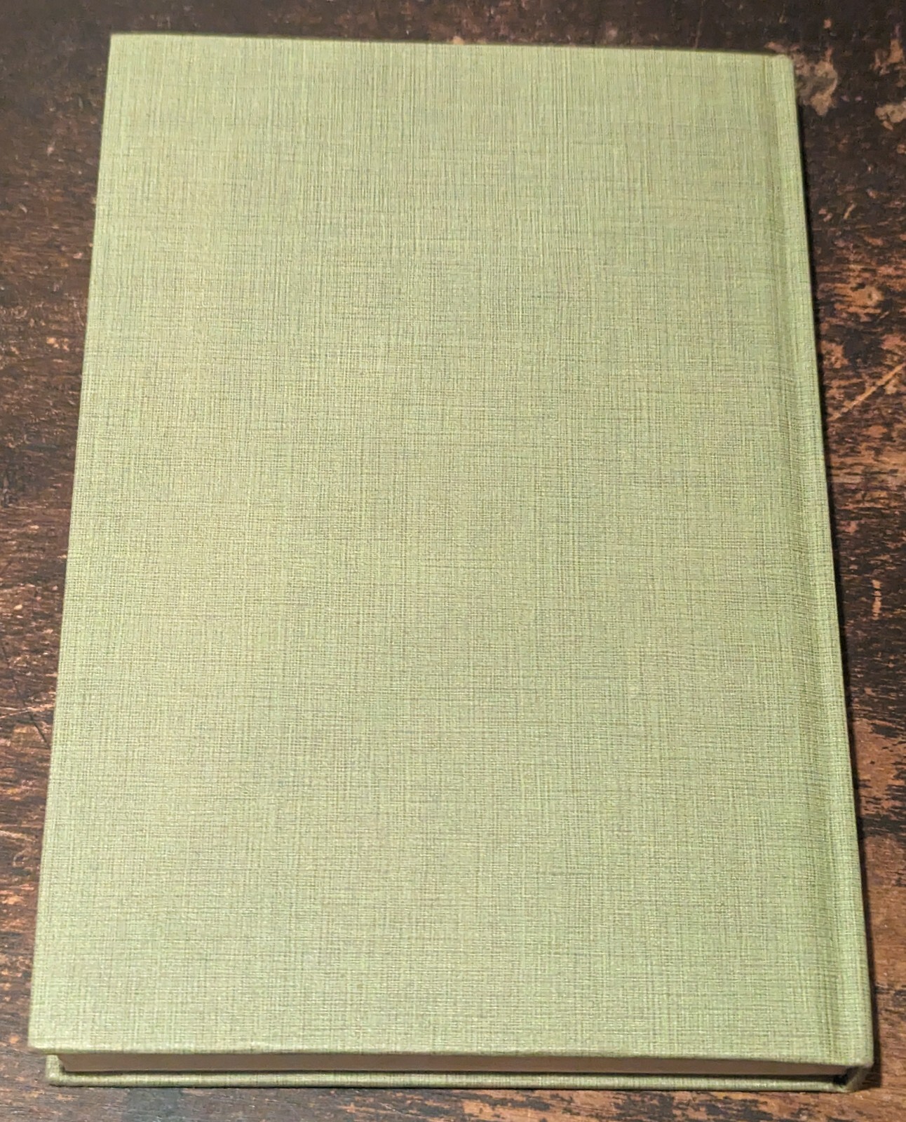 The Little Professor of Piney Woods by Beth Day-1955-1st-NY-Julian Messner-192pp