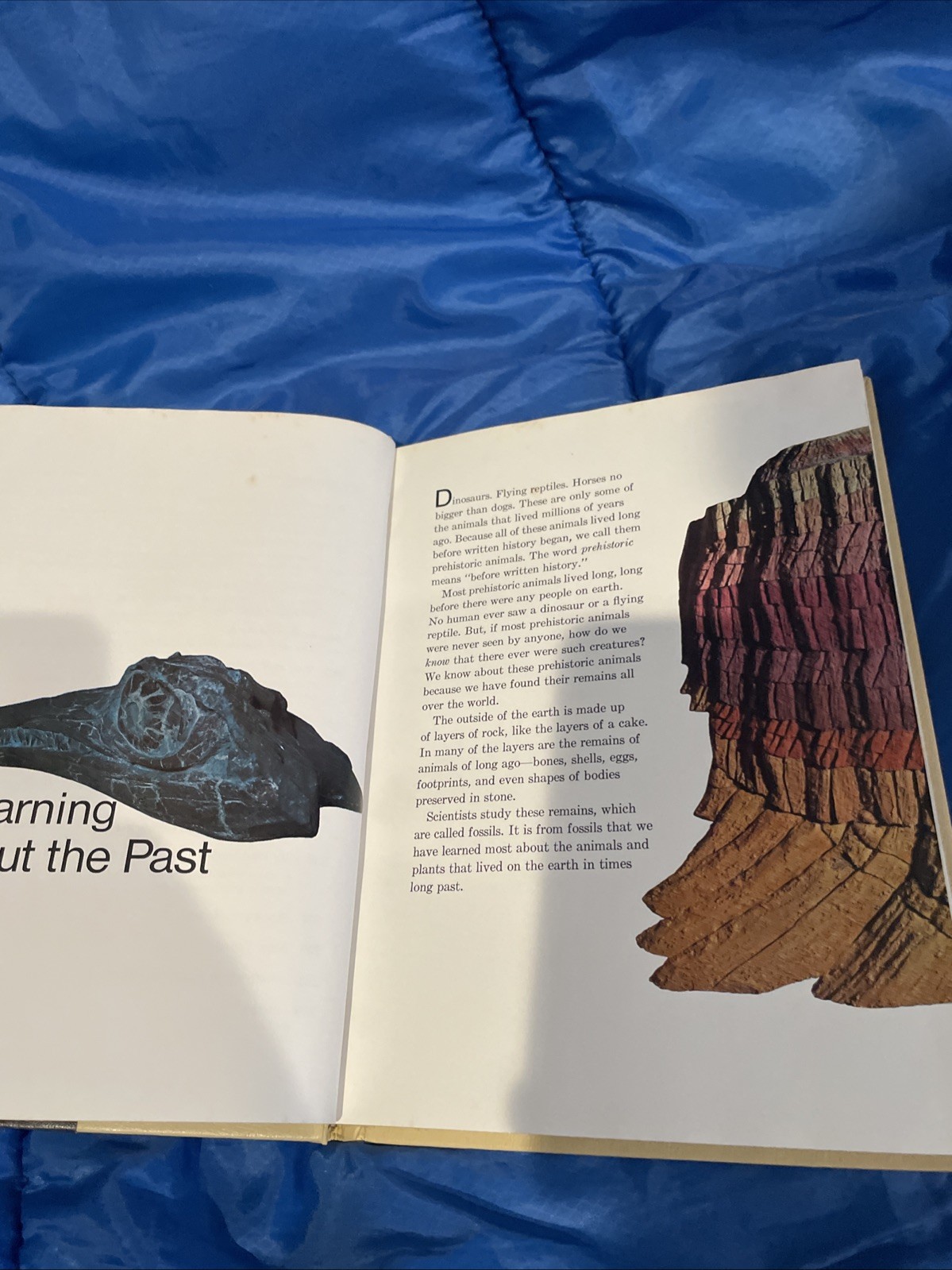 Childcraft Annual 1976 Prehistoric Animals – How and why Library