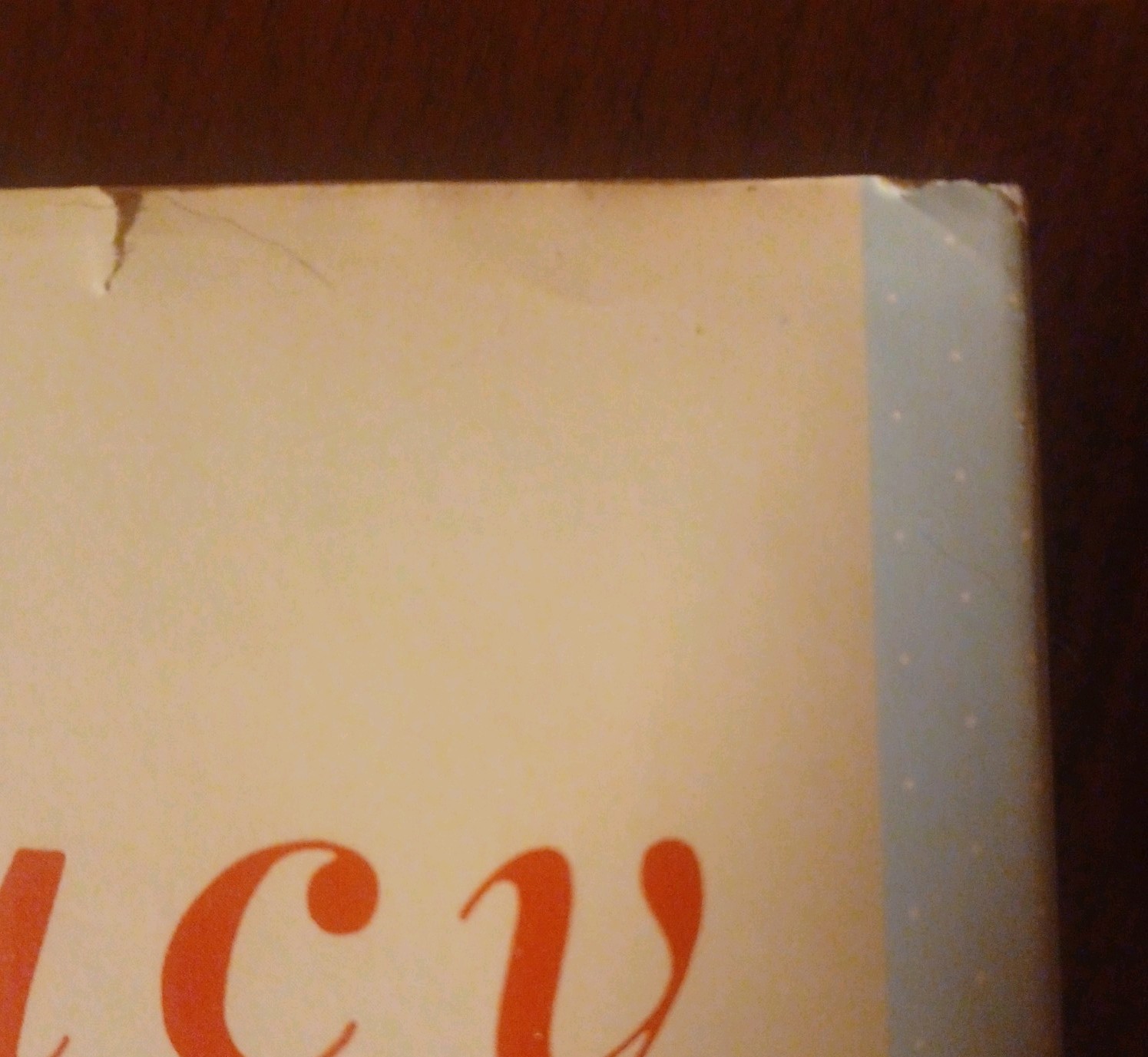 Lucy in the Afternoon: An Intimate Biography of Lucille Ball by Jim Brochu