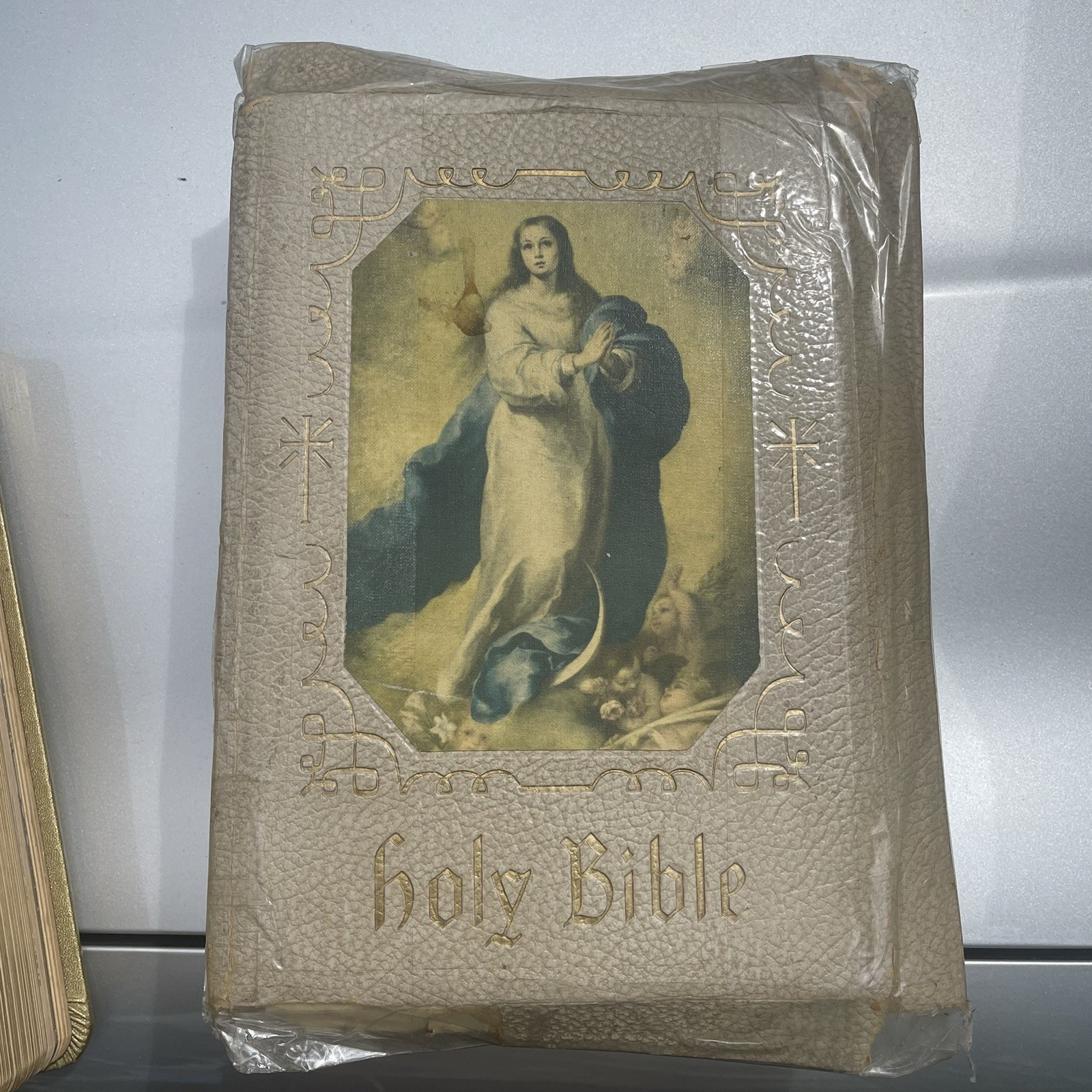 Vintage Holy Bible The Holy Angels Edition The Catholic Press 1963 White Large