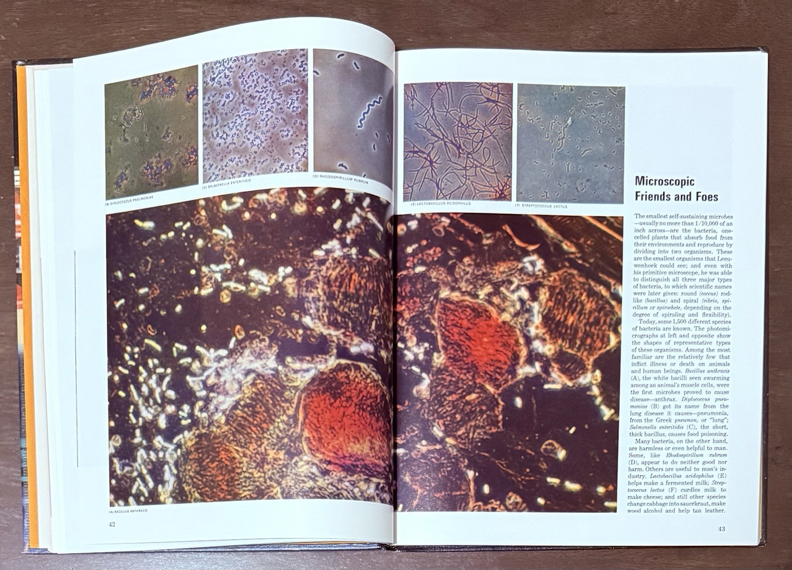 A Guide To Science And Index To The Time Life Science Library. Great Pictures
