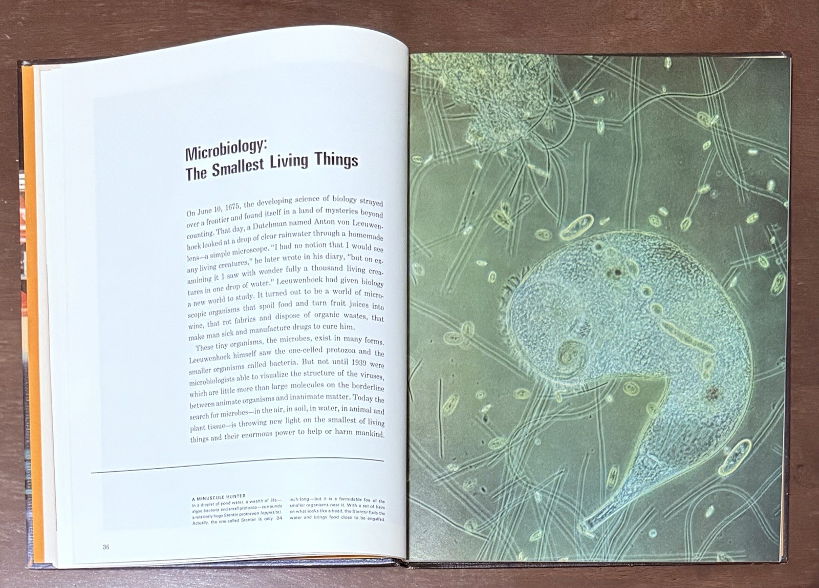 A Guide To Science And Index To The Time Life Science Library. Great Pictures