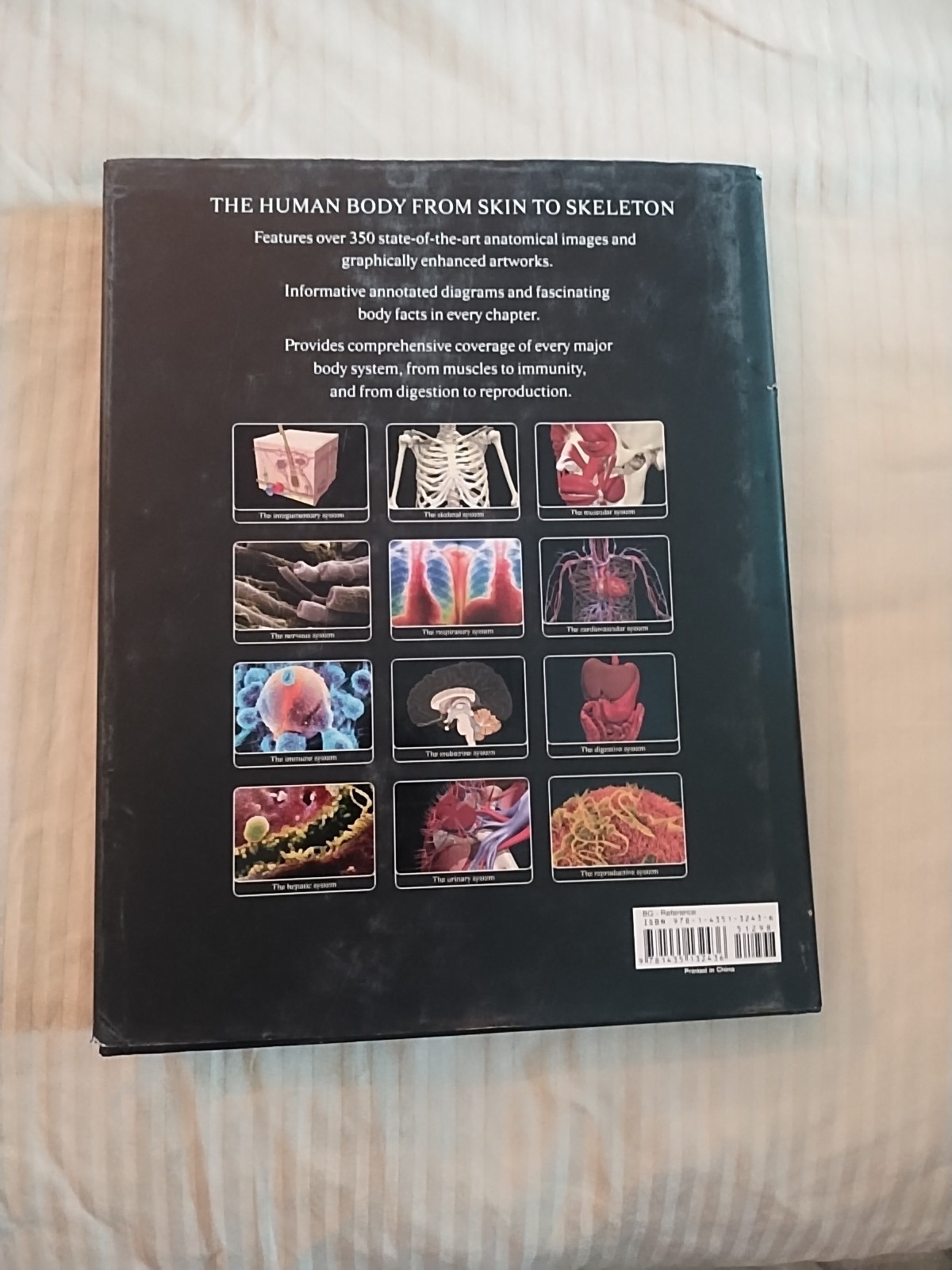 The Human Body: A Visual Guide to Human Anatomy by Dr. Sarah Brewer