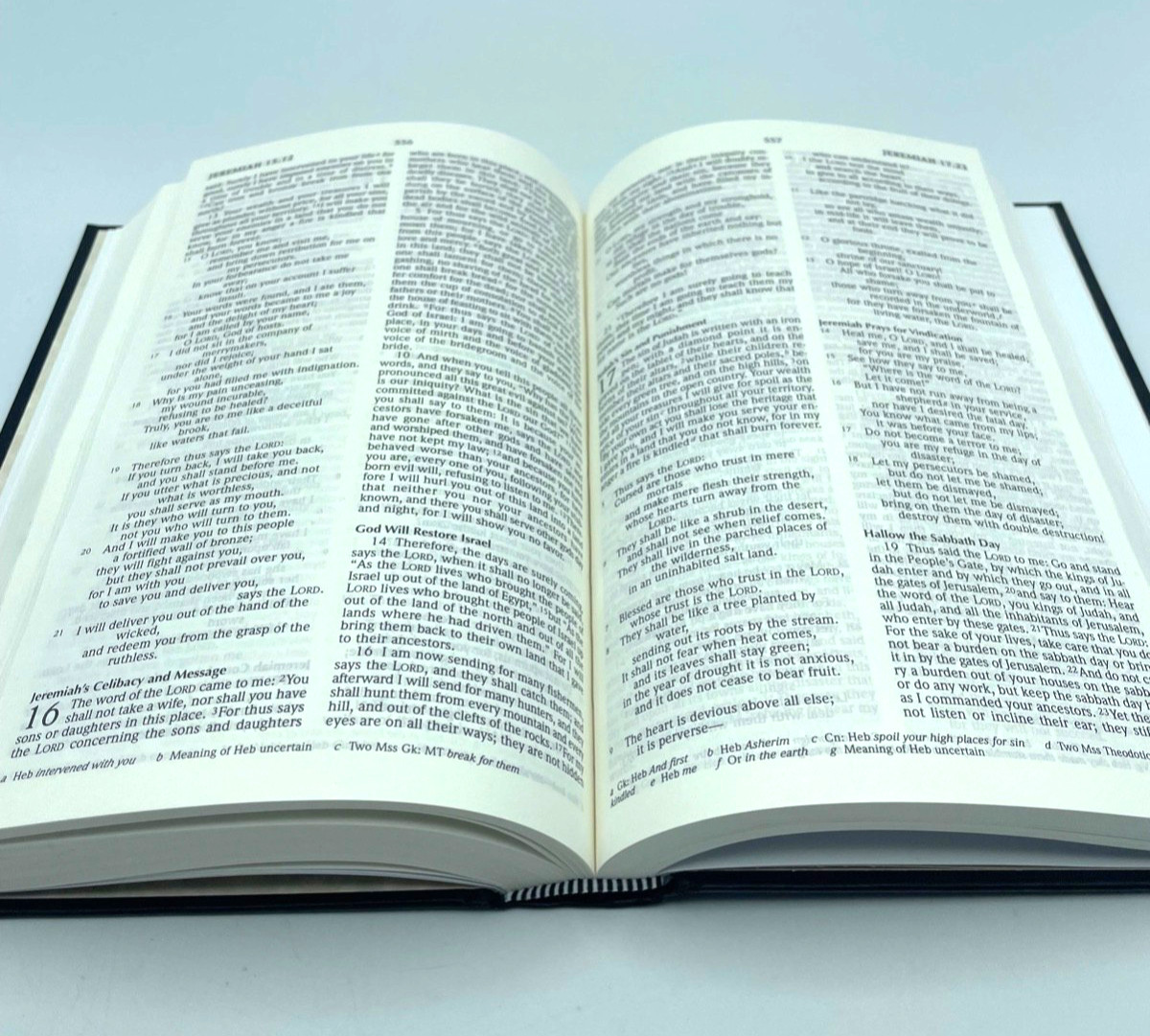 Holy Bible New Revised Standard Version 2013 Hardcover Hendrickson Bibles
